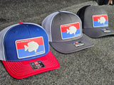 Hats - Red White Blue Logo