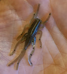 1.5" Softbait Cricket